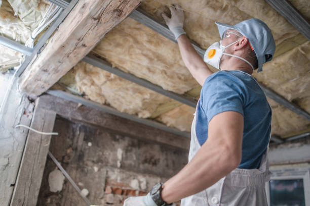 Best Cellulose Insulation in Lake Telemark, NJ